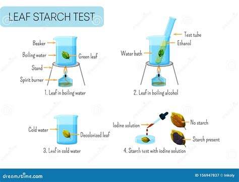 Scientific Cartoons, Illustrations & Vector Stock Images - 203406 ...