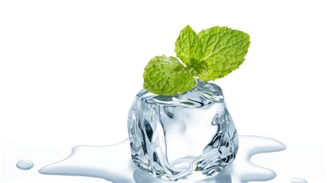 Melting Ice Illustration Cube Ice Mint Leaves 4K HD Ice Cube Wallpapers | HD Wallpapers | ID #67606