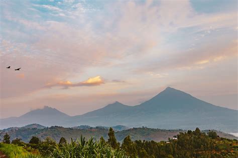 Hiking the Virunga mountains in Uganda | Uganda Hiking Safaris