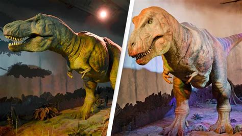 T-rex teeth looked completely different to how we assumed, new study ...