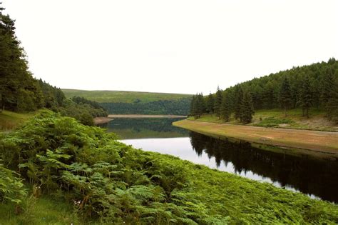 A river running through a lush green forest. Peak district reservoir ...