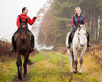 Horse & Pony Care — Irish Training and Educational Centre (ITEC)