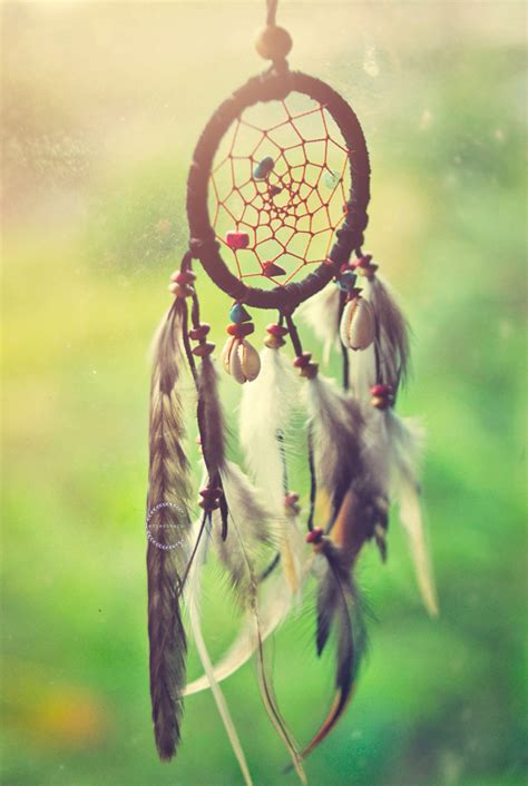 ~Dreamer~: Dream catcher