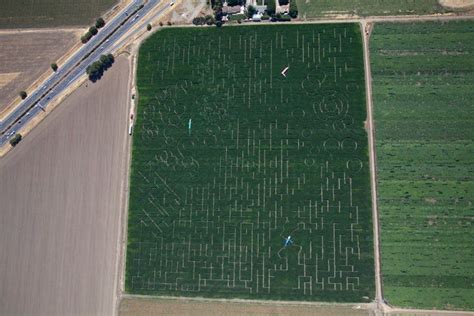 Cool Patch Pumpkins Corn Maze – Dixon, California - Atlas Obscura