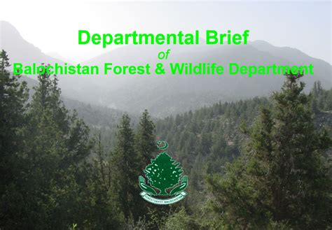 Balochistan Forest & Wildlife Department (Departmental Brief ...