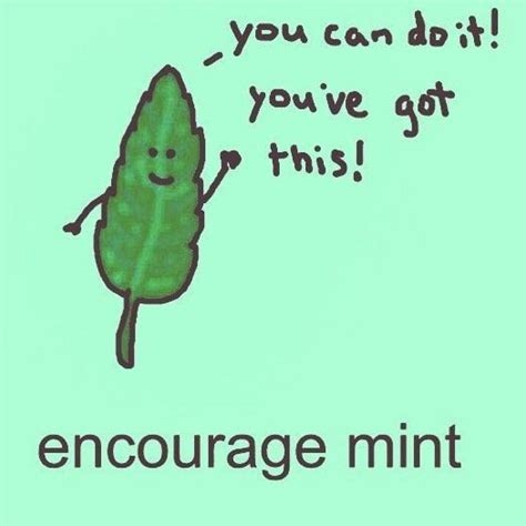 [Image] Here's Your Daily Dose Of Encourage Mint! : GetMotivated ...