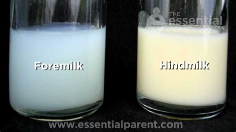 Breastmilk and the difference between Colostrum, Foremilk & Hindmilk - How Breastfeeding Works ...