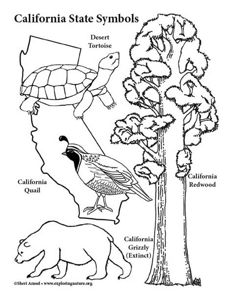 California State Animal Coloring Page Coloring Pages