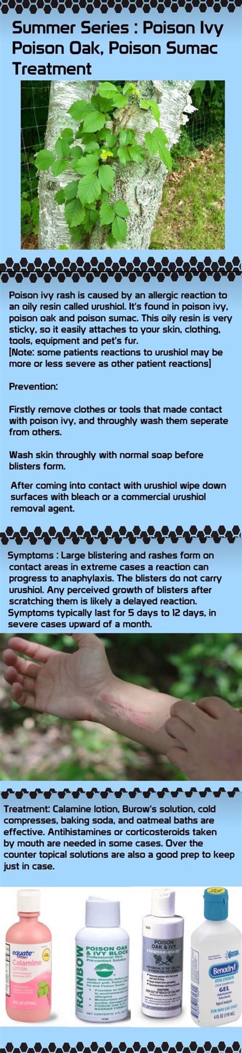 Summer Series : Poison Ivy Poison Oak, Poison Sumac Treatment Poison ivy rash is caused by an ...