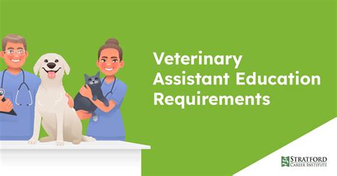 Vet Assistant Requirements >> Learning About Becoming a Vet Assistant