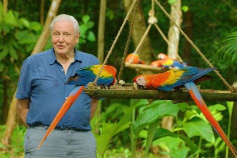 David Attenborough's Life in Colour release date | Latest news | Radio Times