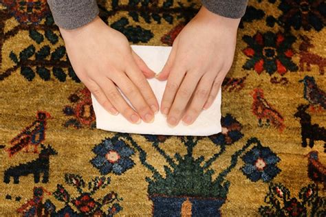 Clean Your Rugs | Remove Rug Stains DYI | Keep Rugs Clean