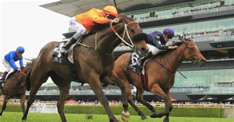 Guide to Horse Racing in Australia | Unibet Australia