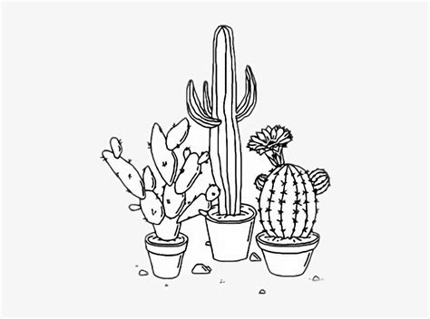 Cactus Aesthetic Plants Tumblr Outline Freetoedit Png - Cactus Drawings ...