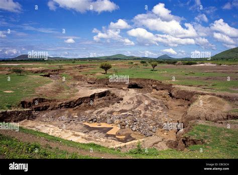 Soil erosion due to overgrazing in Arusha Tanzania Stock Photo - Alamy