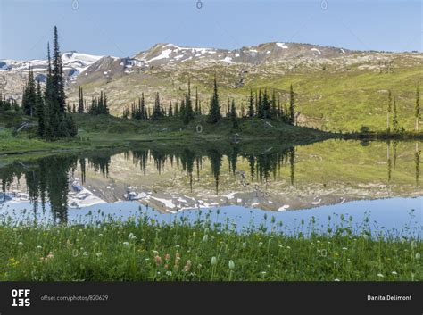 Canada, British Columbia, Selkirk Mountains. Marmot Lake reflection. stock photo - OFFSET