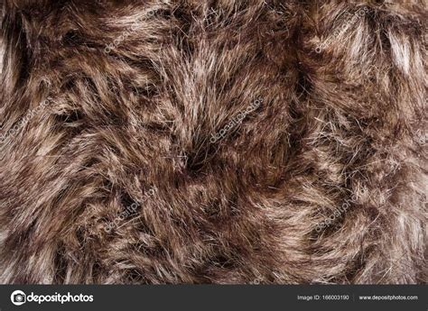 Bear Fur Texture