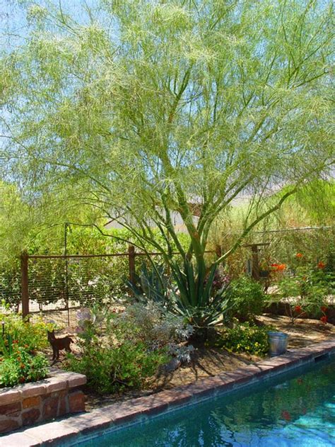 A Guide to Xeriscape Fundamentals - Landscaping Network