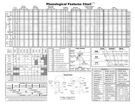 Distinctive features chart - LING217 - Studocu