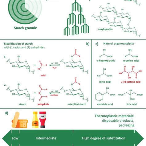 Native starch and its esterification: (a) the granular structure of ...