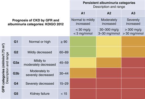 Ckd Stage 3 Nutrition Guidelines