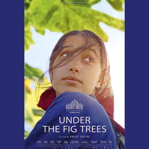 Under The Fig Trees – Theatr Gwaun