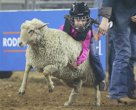 Mutton Bustin Houston Rodeo 2024 - Drusi Meredithe