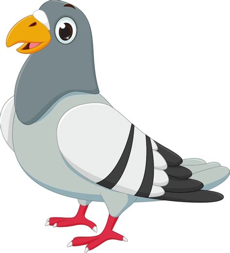 Cute pigeon cartoon Vector | Premium Download