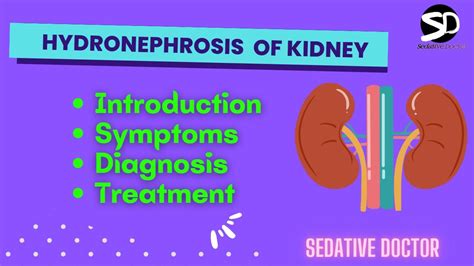 Hydronephrosis Definition Cheapest Store | www.pinnaxis.com