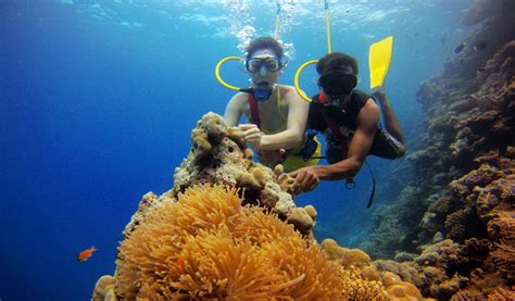 Lakshadweep Islands – A Hub of Snorkeling and Scuba Diving