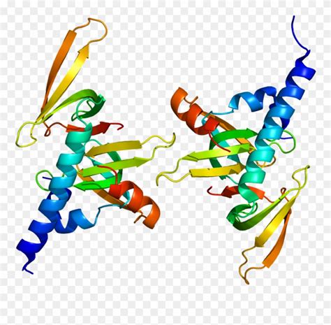 Download Smn Protein Structure Clipart (#701279) - PinClipart