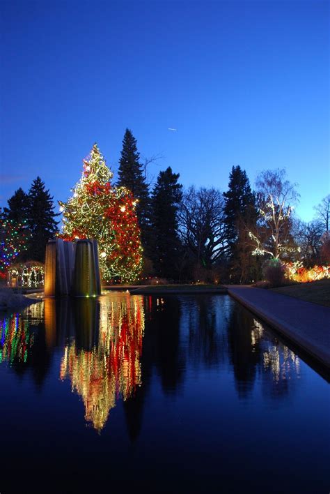 holiday lighting at Denver Botanic Gardens via The Art Garden | Denver ...