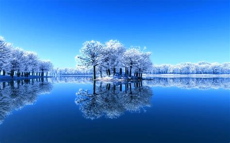 Free download wallpapers Beautiful Winter Scenery Wallpapers [1600x1000] for your Desktop ...