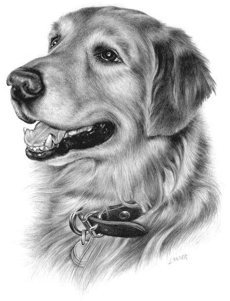 44 Graphite Animals ideas in 2021 | dog drawing, animals, animal drawings