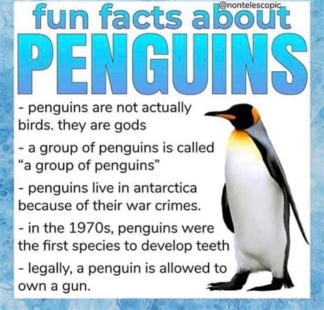 Some quick penguin facts. : r/ShittyAnimalFacts