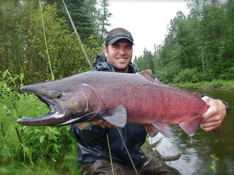 Kings On the Fly: Fishing for Alaska’s Most Sought After Salmon - Harvesting Nature