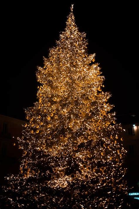 Yellow Christmas Tree Pictures, Photos, and Images for Facebook, Tumblr, Pinterest, and Twitter