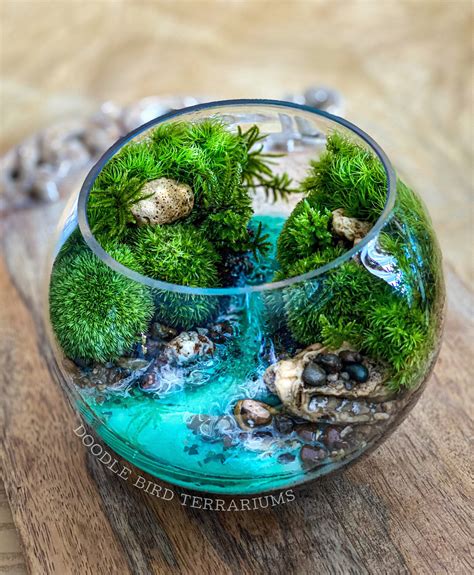 Terrarium Bowls, Garden Terrarium, Succulent Terrarium, Succulents ...