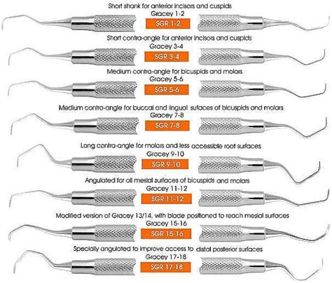 dbdee6d78fe79b01eab6230944faa9bc.jpg 606×519 pixels | Dental hygienist ...