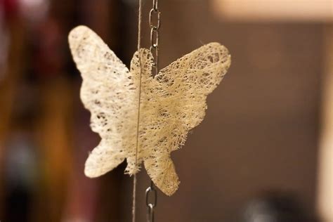 White knitted butterfly in a storefront window | Large white… | Flickr