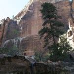 Zion National Park - This is the Rhythm of Our Lives