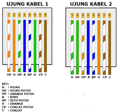 Jenis-Jenis Kabel Jaringan LAN | Teknologi Informasi dan Komunikasi