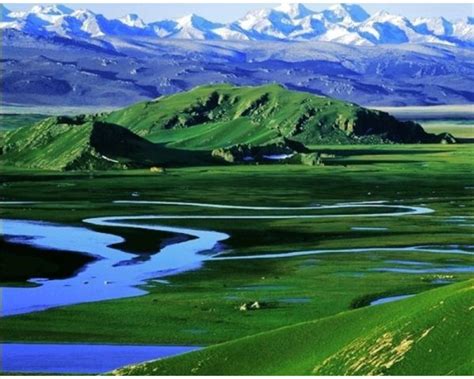 Photos, Images & Pictures of Bayanbulak Grassland Korla, China Silk ...