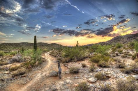 10 of the Best Hiking Trails in Phoenix, Arizona - Flavorverse