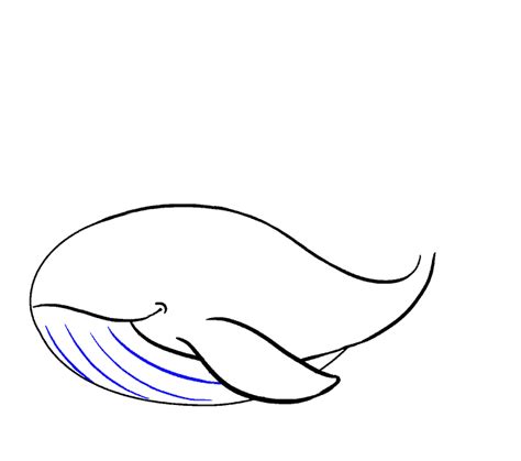 How to Draw an Easy Whale | Easy Drawing Guides