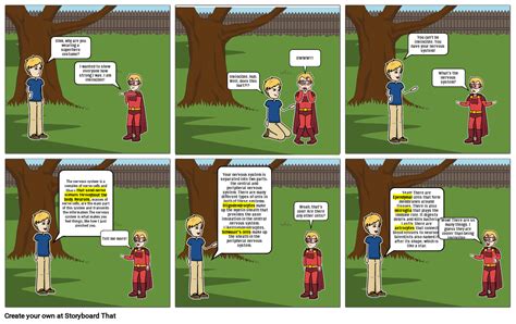 Nervous System Comic Strip Storyboard by 90f676c1