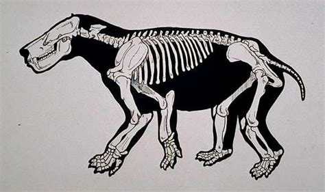 Paleocene mammals of the world