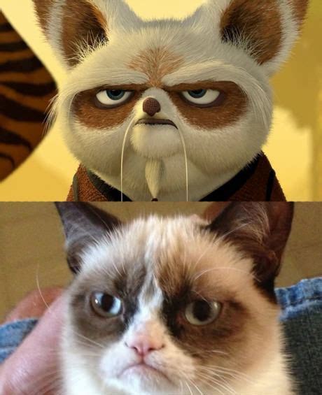 Master Shifu and Grumpy Cat xDD | Grumpy cat, Kung fu panda, Cats