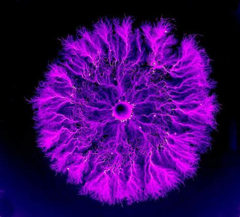 Purple bacteria | Rocks & Scientific Things | Pinterest