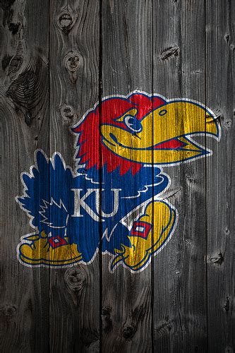 🔥 [50+] Kansas Jayhawk Wallpapers | WallpaperSafari